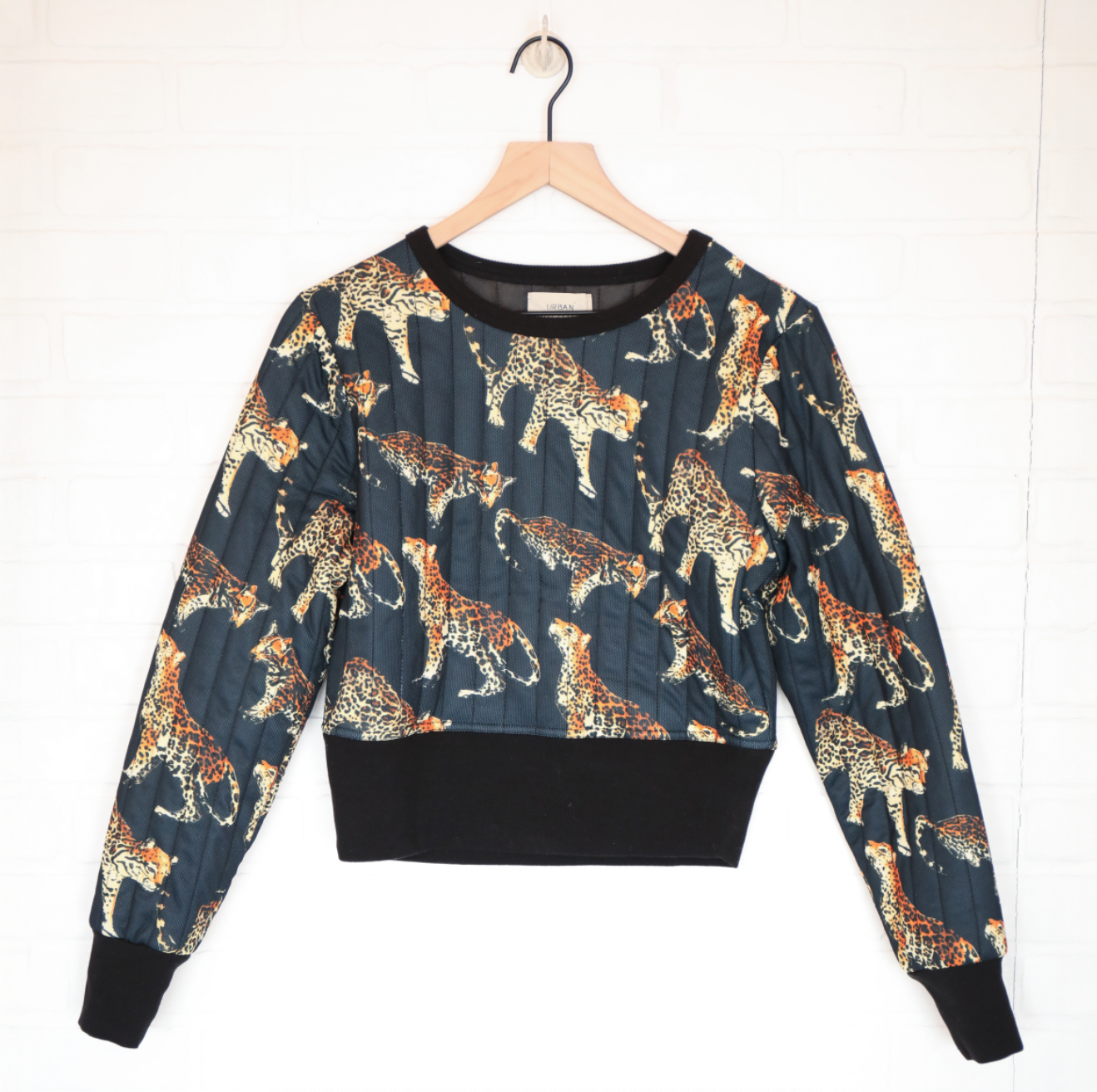 Urban Outfitters Big Cat Cropped Sweatshirt